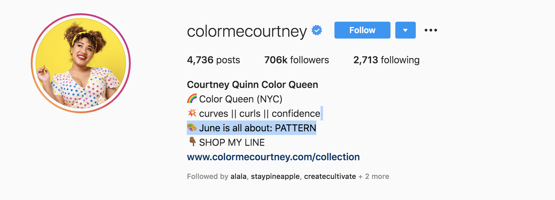Top Fashion Influencers - Courtney Quinn Queen
