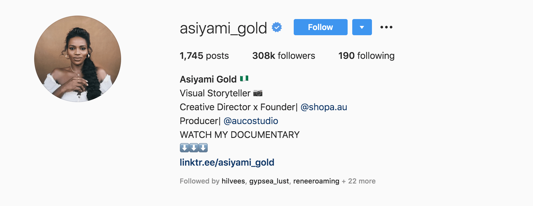 Top Fashion Influencers - Asiyami Gold