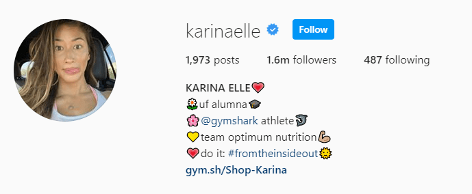 Top Fitness Influencer - Karina Elle