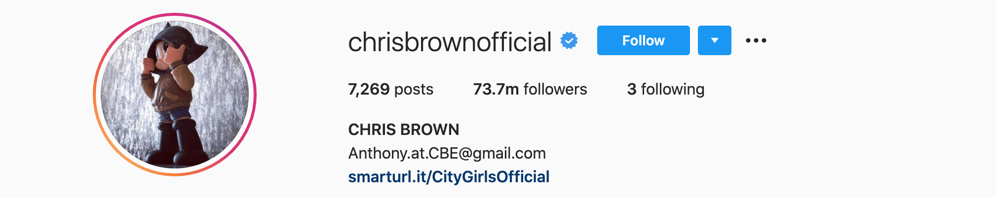Top Instagram Influencers - CHRIS BROWN