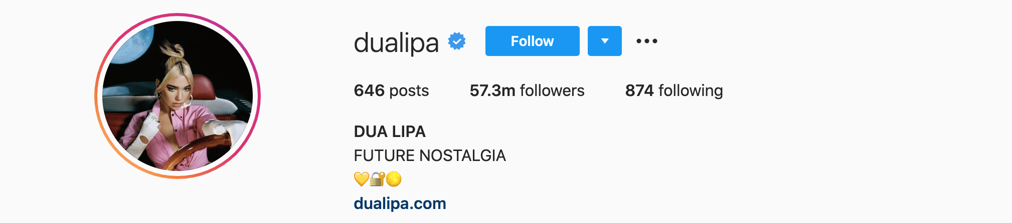 Top Instagram Influencers - DUA LIPA