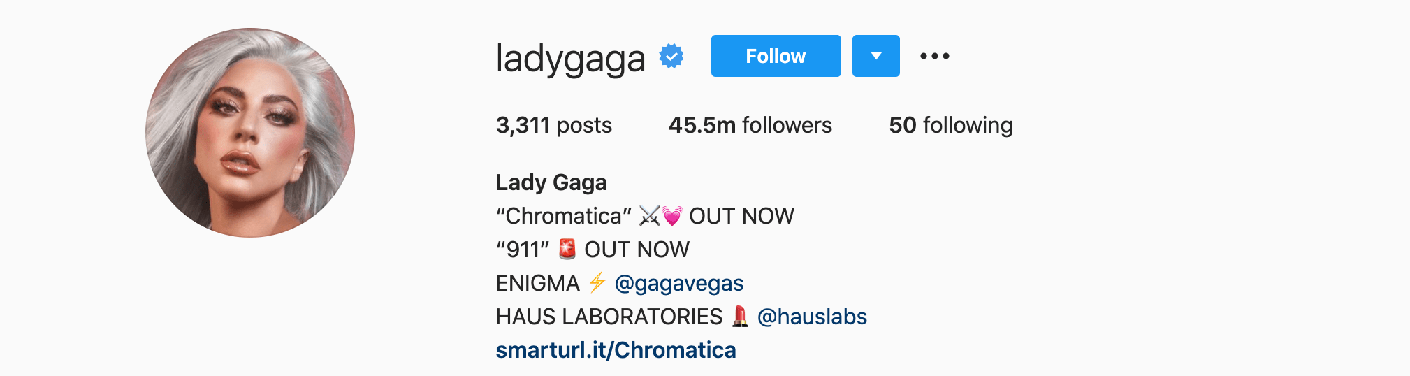 Top Instagram Influencers - LADY GAGA