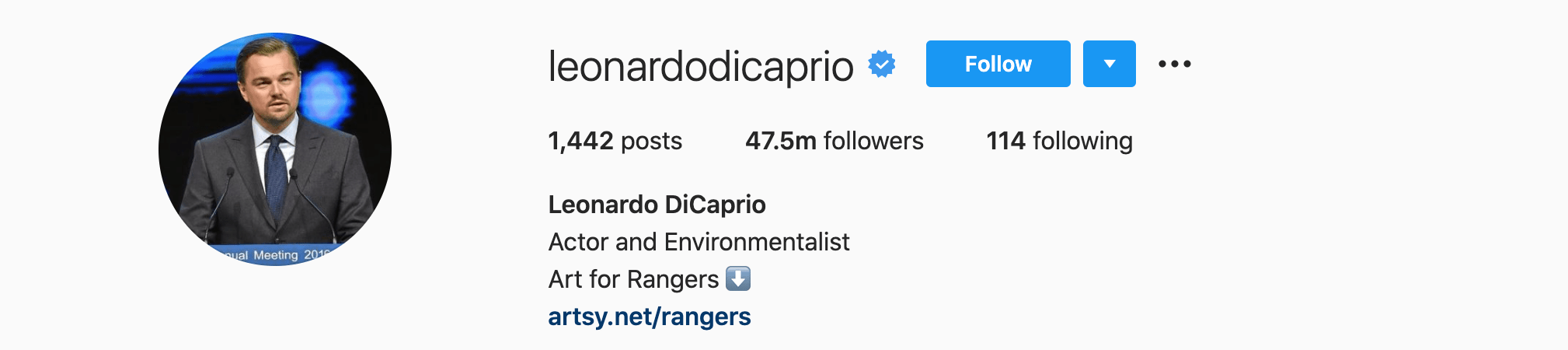 Top Instagram Influencers - LEONARDO DICAPRIO