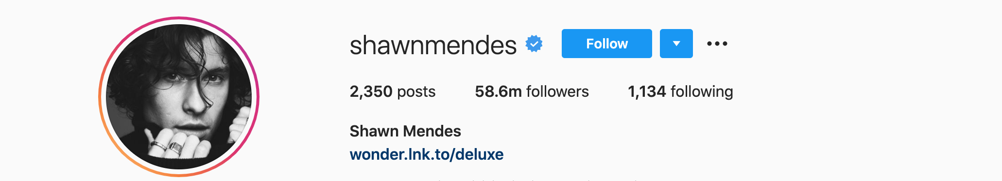 Top Instagram Influencers - SHAWN MENDES