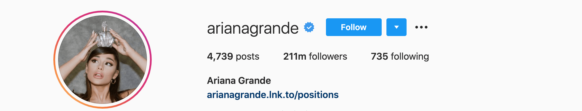 Top Instagram Influencers - ARIANA GRANDE