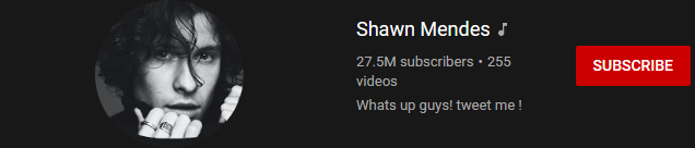 most subscribed Youtubers - SHAWN MENDES - MOST SUBSCRIBED YOUTUBERS AND MOST SUBSCRIBED YOUTUBE CHANNELS IN 2024