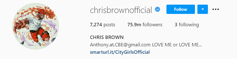 Top Male Influencers - Chris Brown