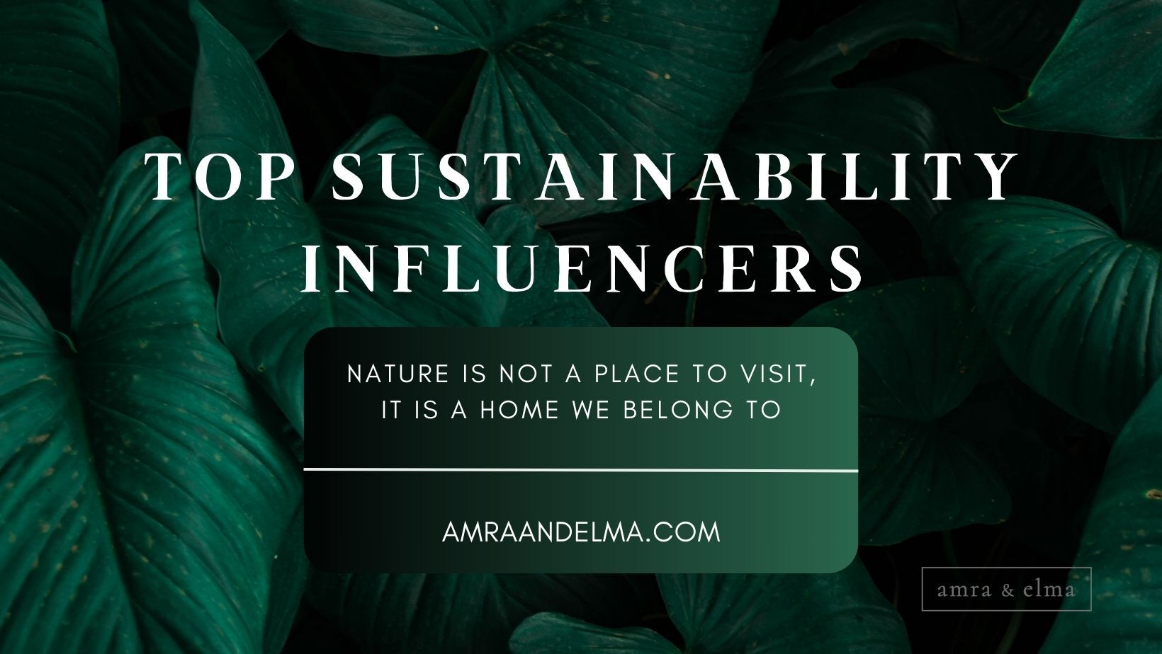 top sustainability influencers