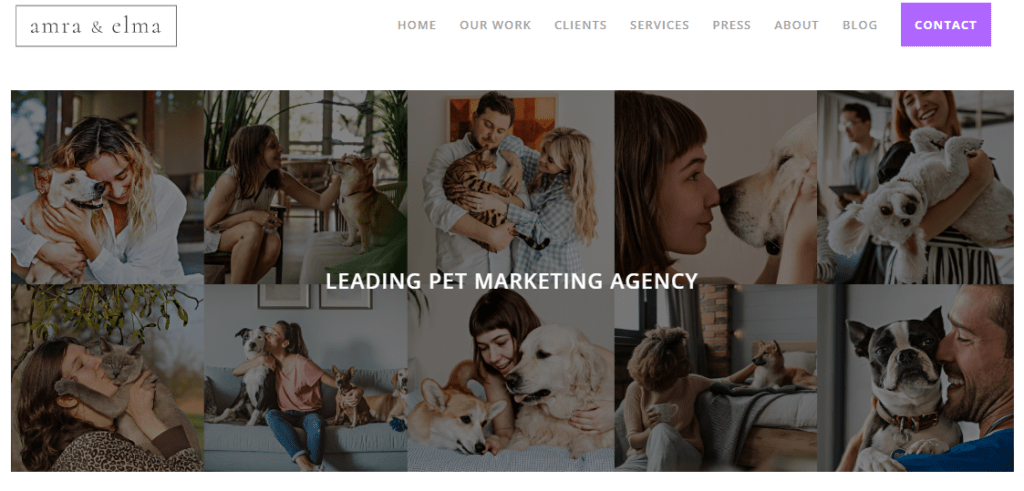 pet marketing companies