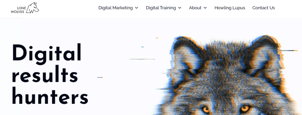 top digital marketing companies in Europe