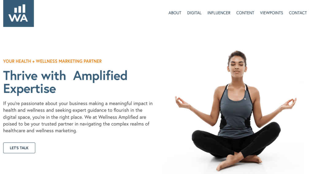 WELLNESS INFLUENCER MARKETING AGENCIES